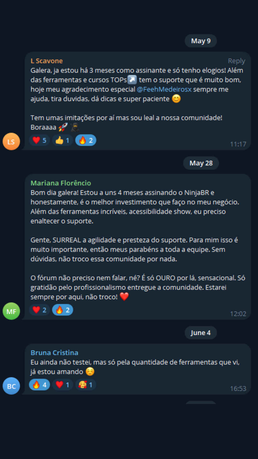 Depoimento de membro do NinjaBr